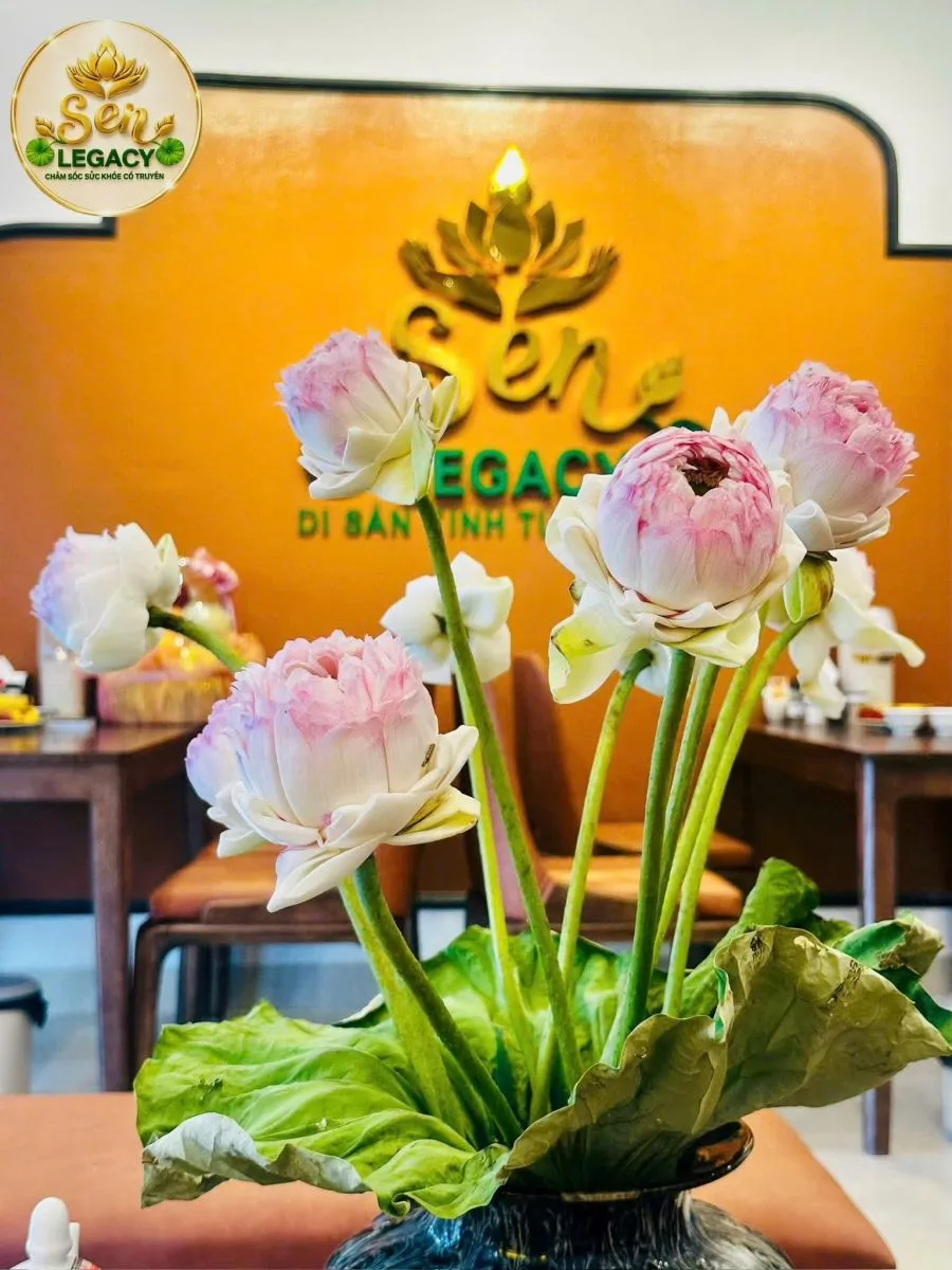 Spa Sen Legacy - Trị Liệu Cổ Truyền 3