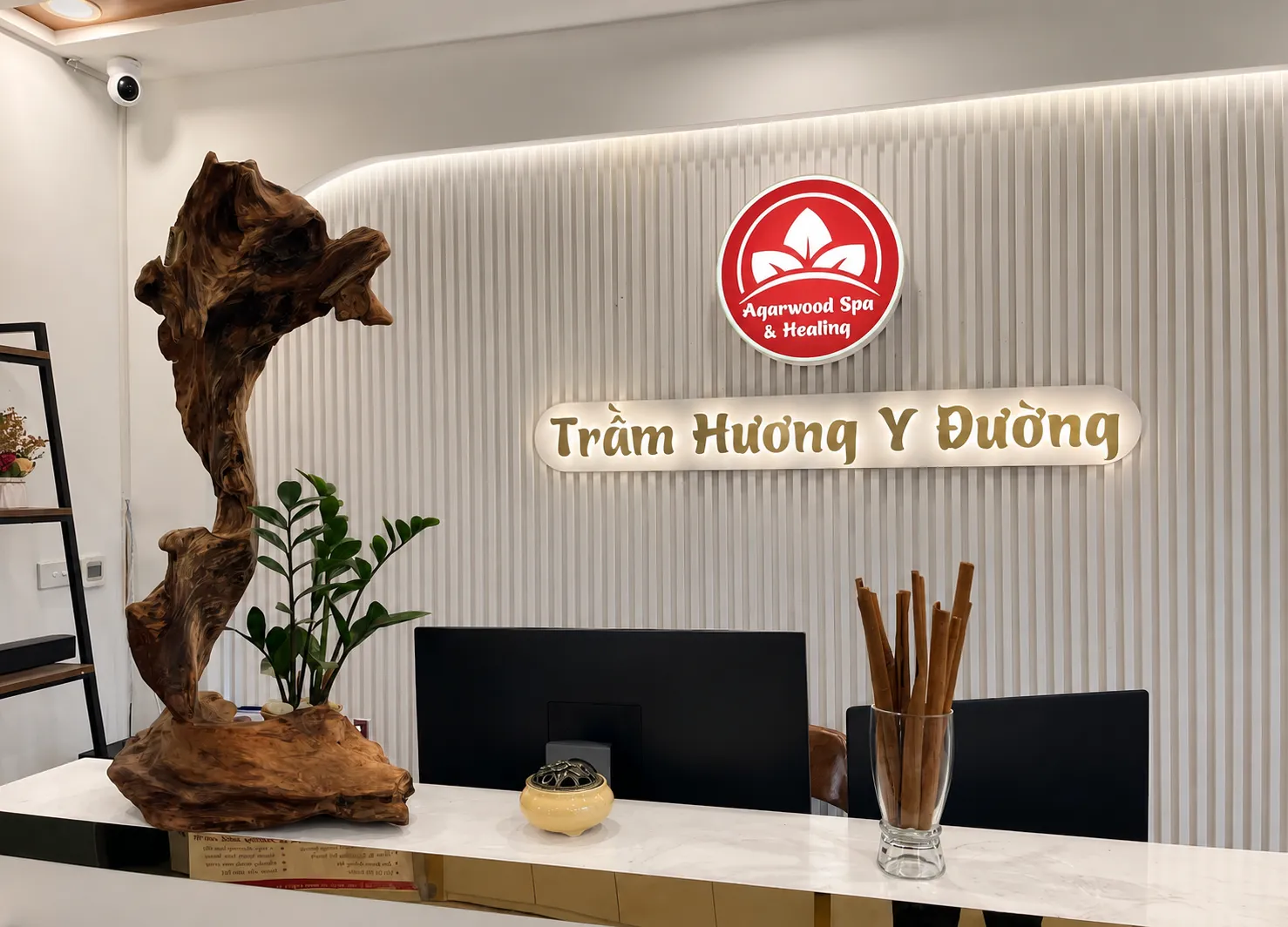 Trầm Hương Y Đường 3